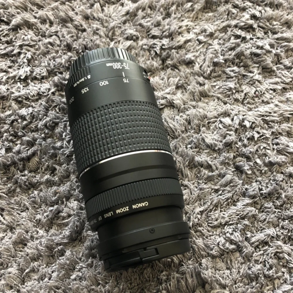 Canon 75-300 Lens